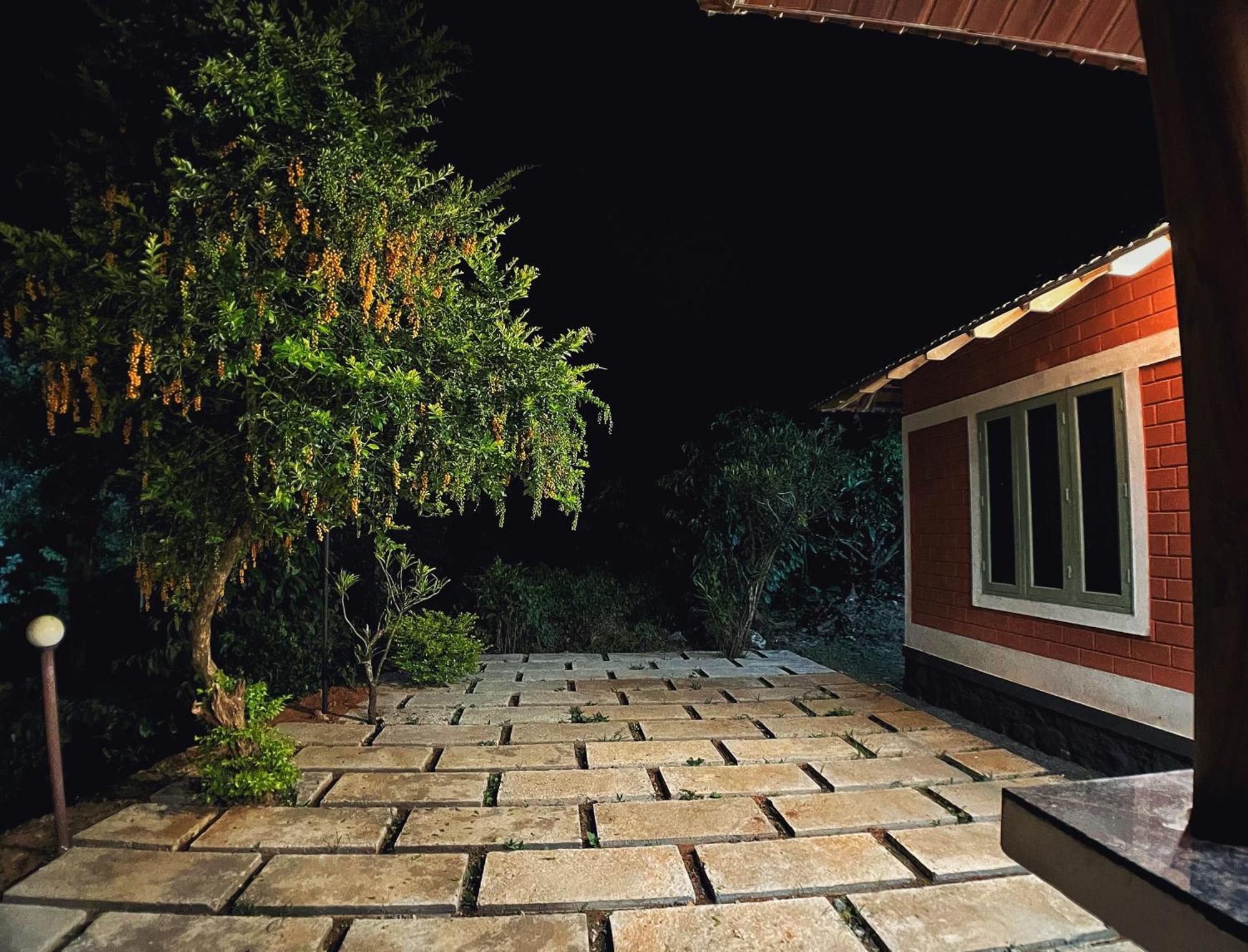 Mahout Resort Wayanad - An Experiential Jungle Stay With Waterfall Kalpetta Exterior photo