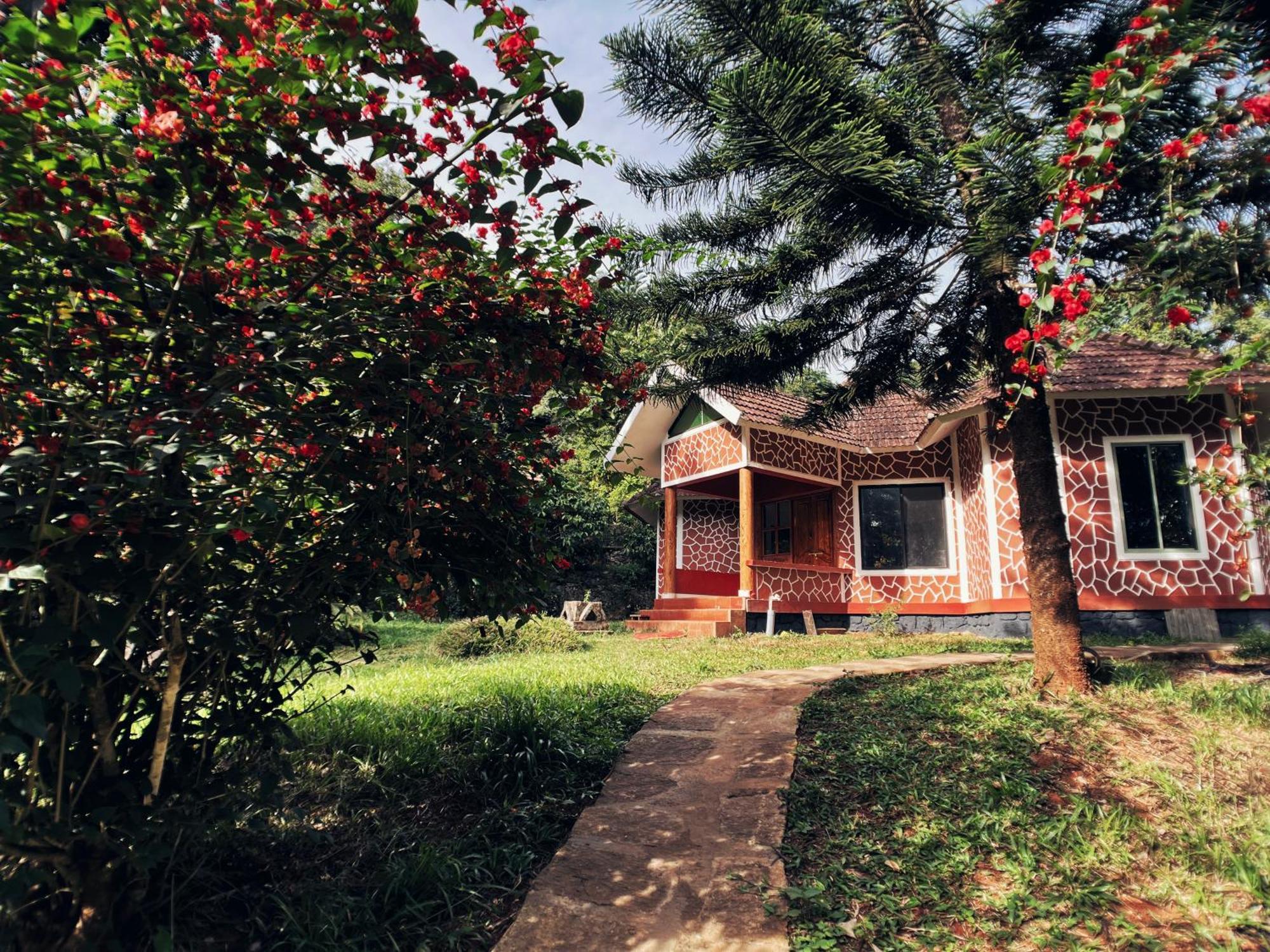 Mahout Resort Wayanad - An Experiential Jungle Stay With Waterfall Kalpetta Exterior photo