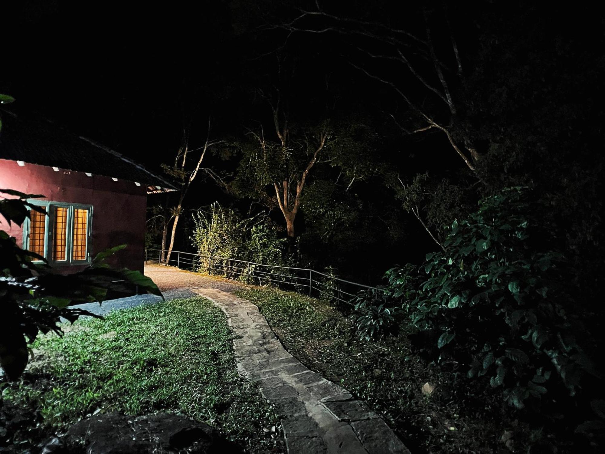 Mahout Resort Wayanad - An Experiential Jungle Stay With Waterfall Kalpetta Exterior photo