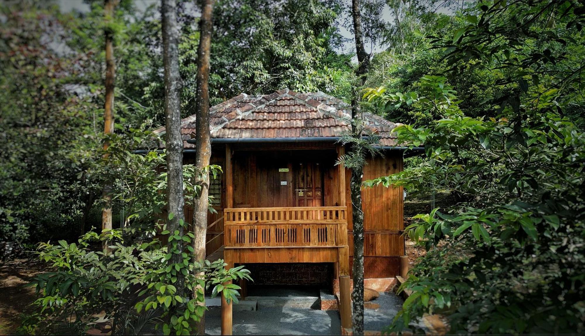 Mahout Resort Wayanad - An Experiential Jungle Stay With Waterfall Kalpetta Exterior photo